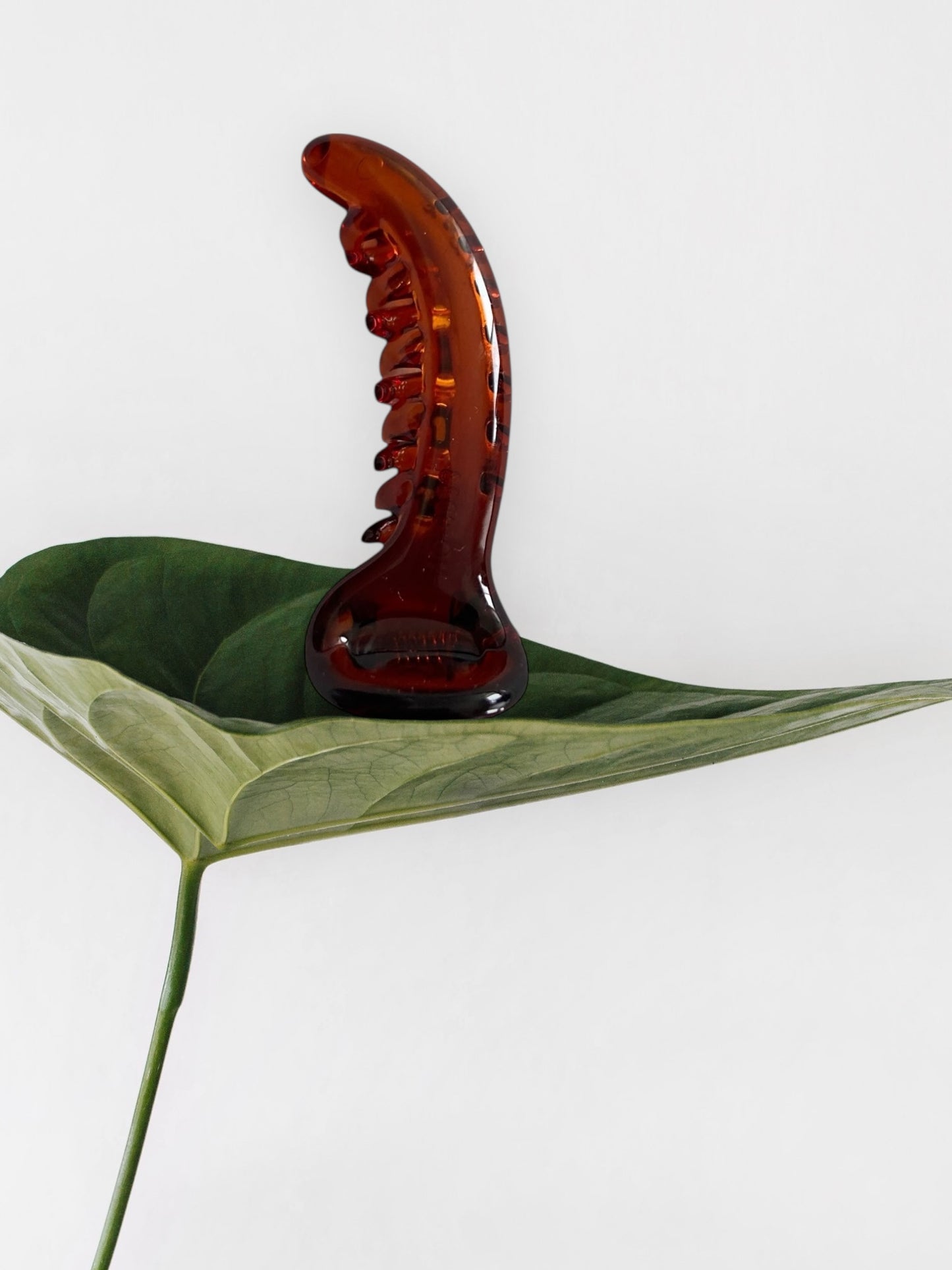 Dolphine Banana clip (Small)