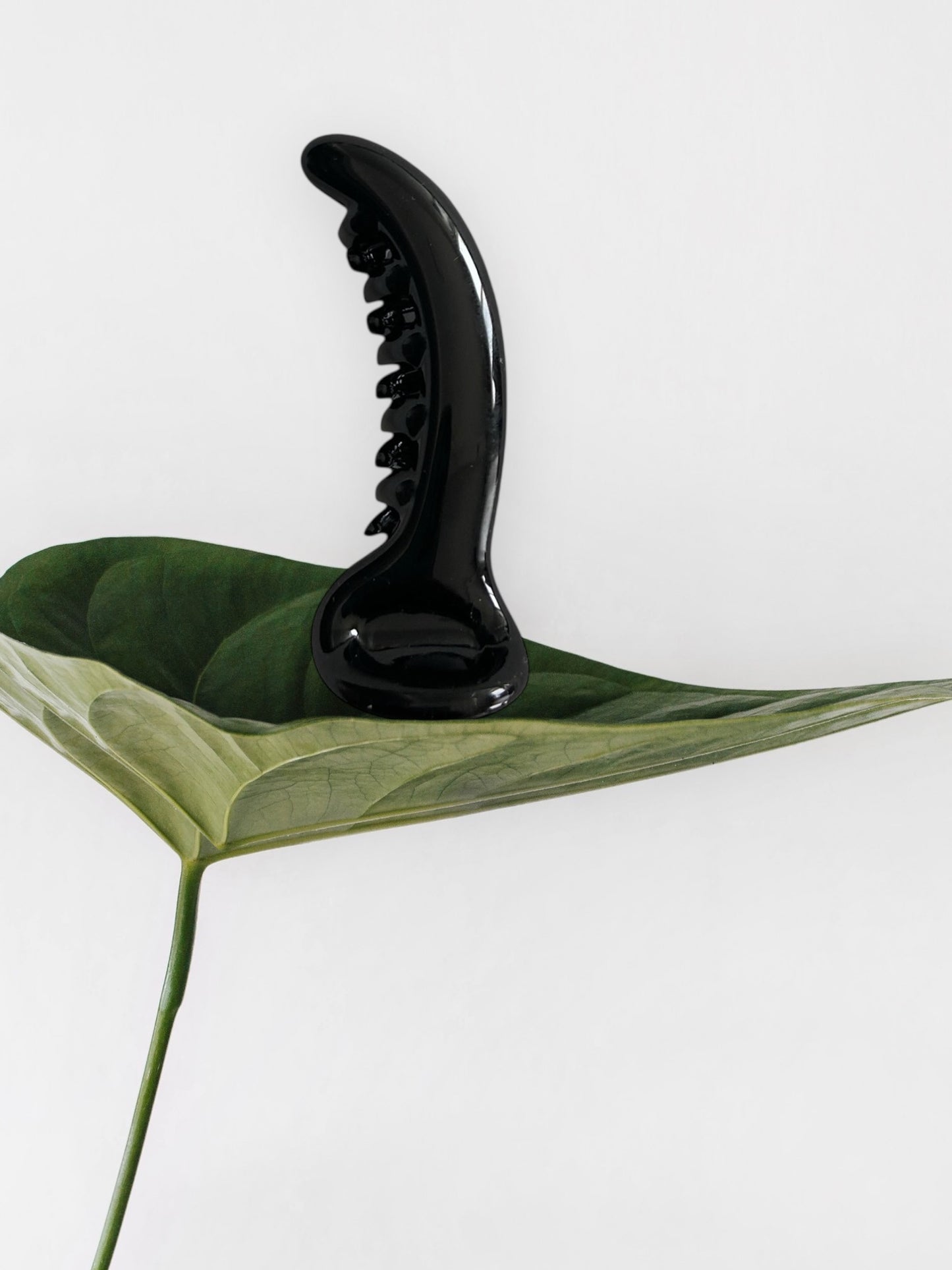 Dolphine Banana clip (Small)