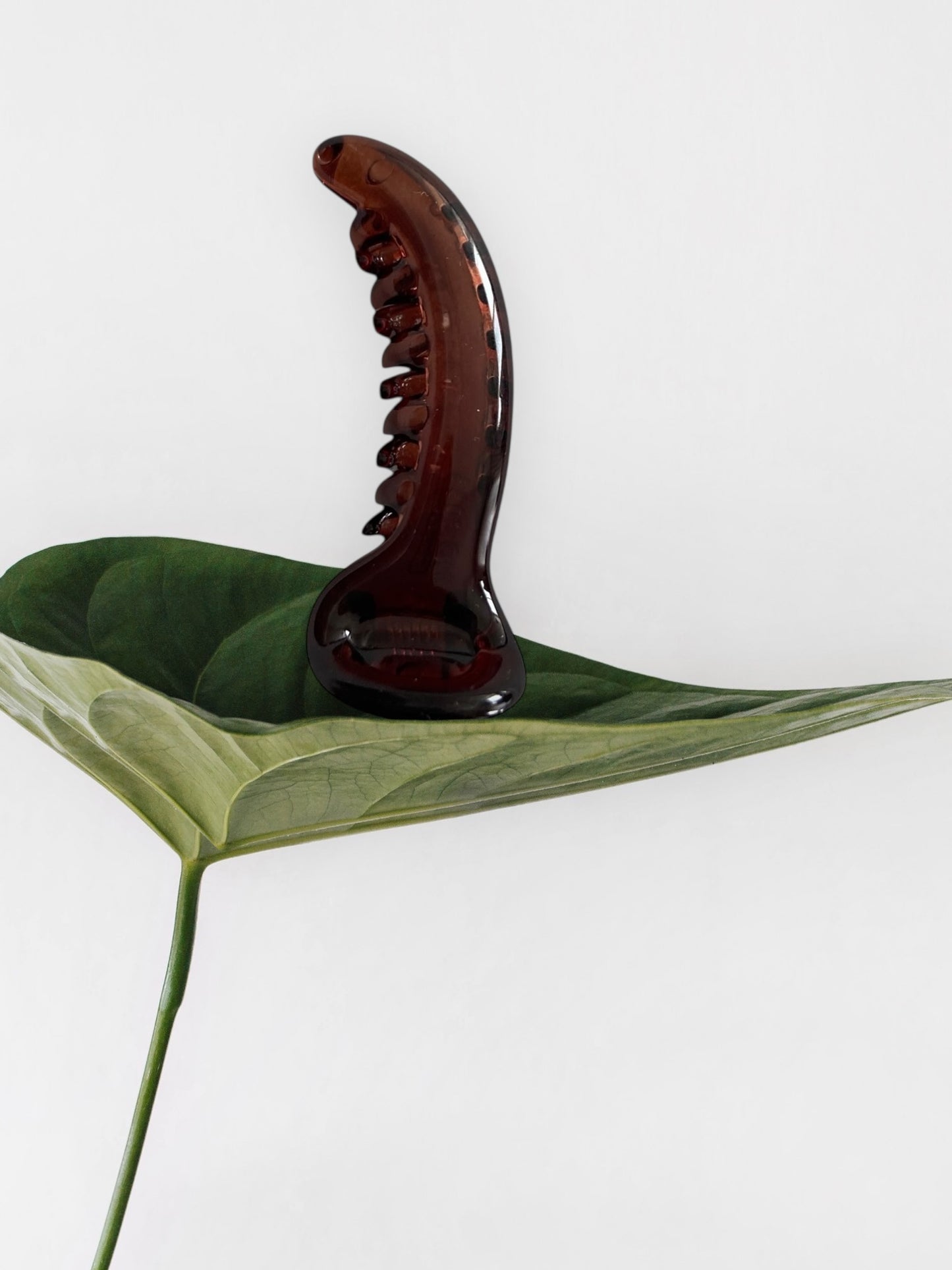 Dolphine Banana clip (Small)